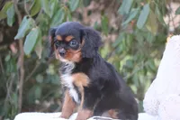 processed/67e8ccc2-239e-46f4-92cf-8367197ac1cb/listing/10ed0769-5fcf-4915-8002-4cdd8ae6b725/2adf1890-7f17-409e-a4f2-b33c947d3761