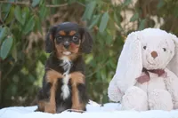 processed/67e8ccc2-239e-46f4-92cf-8367197ac1cb/listing/10ed0769-5fcf-4915-8002-4cdd8ae6b725/3e405e72-a9e2-4b38-ab8b-704b6e12ad0d