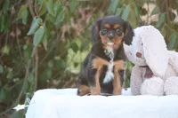 processed/67e8ccc2-239e-46f4-92cf-8367197ac1cb/listing/10ed0769-5fcf-4915-8002-4cdd8ae6b725/91f1a234-6f8e-4197-913d-9b1cb521f631