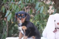 processed/67e8ccc2-239e-46f4-92cf-8367197ac1cb/listing/10ed0769-5fcf-4915-8002-4cdd8ae6b725/c82909c9-69f1-4b42-b3d3-1560eb47d44b