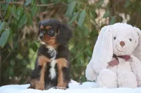 processed/67e8ccc2-239e-46f4-92cf-8367197ac1cb/listing/10ed0769-5fcf-4915-8002-4cdd8ae6b725/ddad46cb-5008-4974-9fc1-c4e380fe61f1