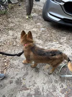 processed/67f26abf-bc4a-4859-8a84-96c2a040b37c/facility/119faa16-72a4-4ee6-a479-682833870c30