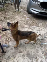 processed/67f26abf-bc4a-4859-8a84-96c2a040b37c/facility/18c45b09-8856-4282-a708-87ae01190d62