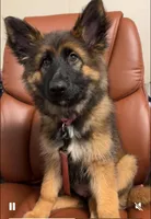 processed/67f26abf-bc4a-4859-8a84-96c2a040b37c/facility/52d6e302-b2c4-4ef0-ad4d-348436bc6967