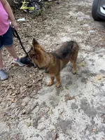 processed/67f26abf-bc4a-4859-8a84-96c2a040b37c/facility/c6e99db7-4984-4093-afad-5c14a0311fe2