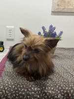 processed/67f90546-b91d-4082-a7bc-898bce7171d6/listing/15b51d28-01e0-4e8b-8717-116572b2bbfa/2745711b-08eb-402c-ab5f-2b4da3bf99b3