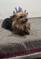 processed/67f90546-b91d-4082-a7bc-898bce7171d6/listing/15b51d28-01e0-4e8b-8717-116572b2bbfa/3346c159-0dfd-42b1-b10d-9eeb9b226395