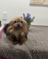 processed/67f90546-b91d-4082-a7bc-898bce7171d6/listing/15b51d28-01e0-4e8b-8717-116572b2bbfa/5119a118-5793-4b69-ad08-c6d58c463f5b