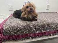 processed/67f90546-b91d-4082-a7bc-898bce7171d6/listing/15b51d28-01e0-4e8b-8717-116572b2bbfa/743aa747-5935-4c5b-8025-f8198135af89