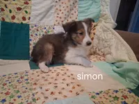 processed/680651fd-21b7-4598-89b1-ac51e2607412/listing/7eb916ad-db86-42b9-933a-538162d2a001/27ea737d-52a5-4192-88b0-b132fd8c8587