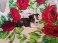 processed/680651fd-21b7-4598-89b1-ac51e2607412/listing/7eb916ad-db86-42b9-933a-538162d2a001/586cc3b4-c78e-4c74-8c8c-2ac7db90ec6a