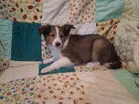 processed/680651fd-21b7-4598-89b1-ac51e2607412/listing/7eb916ad-db86-42b9-933a-538162d2a001/ad7b5972-8d25-47b2-a1a3-0bf7a2033545