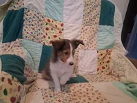 processed/680651fd-21b7-4598-89b1-ac51e2607412/listing/7eb916ad-db86-42b9-933a-538162d2a001/b1c608aa-aaa7-4552-93f7-1c68ac5cad90