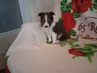 processed/680651fd-21b7-4598-89b1-ac51e2607412/listing/7eb916ad-db86-42b9-933a-538162d2a001/b579da10-047c-44cd-88de-f8db38d48b37