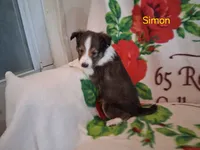 processed/680651fd-21b7-4598-89b1-ac51e2607412/listing/7eb916ad-db86-42b9-933a-538162d2a001/be67367a-8bd7-442c-9beb-8cf70f0747e0