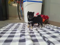 processed/6806a1a2-636c-4163-9366-7b1dc0f51525/listing/31254151-a807-4f3f-8f9d-65bc135b9cac/08018a1d-087f-44c4-8a31-20044086ffcb