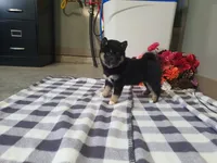 processed/6806a1a2-636c-4163-9366-7b1dc0f51525/listing/31254151-a807-4f3f-8f9d-65bc135b9cac/7dc5c691-77c3-4fca-be4b-ed6db61d6a6a