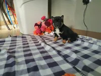 processed/6806a1a2-636c-4163-9366-7b1dc0f51525/listing/43db20ec-4634-4d56-9f2a-a46ede86a5b4/3972b535-b903-4678-8c92-9324556f446c