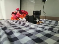 processed/6806a1a2-636c-4163-9366-7b1dc0f51525/listing/43db20ec-4634-4d56-9f2a-a46ede86a5b4/4f5ca3a2-55a6-4795-9364-adcba6cc1e0f