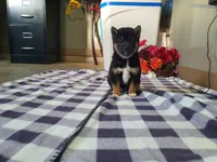 processed/6806a1a2-636c-4163-9366-7b1dc0f51525/listing/7c488919-affe-4b28-abff-f9bcd141e3f2/1bd34273-9f80-40d3-814f-c54f13722eb5