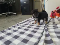 processed/6806a1a2-636c-4163-9366-7b1dc0f51525/listing/7c488919-affe-4b28-abff-f9bcd141e3f2/38e9db00-9434-455c-a52f-4dd8dfae3edf