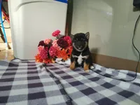 processed/6806a1a2-636c-4163-9366-7b1dc0f51525/listing/7c488919-affe-4b28-abff-f9bcd141e3f2/52f337f2-26ab-4c2a-a8de-adab8c23f256