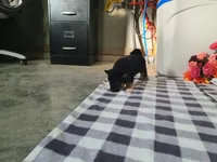 processed/6806a1a2-636c-4163-9366-7b1dc0f51525/listing/7c488919-affe-4b28-abff-f9bcd141e3f2/9ee008e6-e059-4900-a89f-26d6bbfb06ff