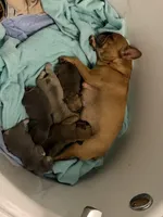 processed/680caf57-245c-4ccd-8345-205e9ab89512/facility/11c6e0a9-db80-4c7e-82c2-9d1681dac37f