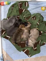 processed/680caf57-245c-4ccd-8345-205e9ab89512/facility/19a63c62-3721-4cc8-95bd-2738fba9952d