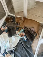 processed/680caf57-245c-4ccd-8345-205e9ab89512/facility/1edce4d2-8360-4a98-97e4-6c91962a50b2