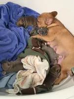 processed/680caf57-245c-4ccd-8345-205e9ab89512/facility/496c0490-0606-4248-95cd-968c9439ef61