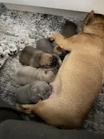 processed/680caf57-245c-4ccd-8345-205e9ab89512/facility/b95a846e-cd81-4197-93d9-f3ba7514226f