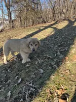 processed/68254d58-7137-468f-96b4-c388e433f2a3/listing/13e2f5de-ddc7-4dd1-b3ff-49ce7d0a0d48/49d3bc6d-ccf8-4f6f-b589-e34e37b3019a