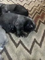 processed/68254d58-7137-468f-96b4-c388e433f2a3/listing/2629d857-1f0e-41c8-a18e-28e3cbd05024/0356720a-5e00-452d-b416-d60dd8b5507d