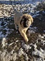 processed/68254d58-7137-468f-96b4-c388e433f2a3/listing/2629d857-1f0e-41c8-a18e-28e3cbd05024/6eb9c63f-b7ac-4457-a67a-cd1dbeee13fe