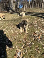 processed/68254d58-7137-468f-96b4-c388e433f2a3/listing/2629d857-1f0e-41c8-a18e-28e3cbd05024/7b8dc4f9-95b1-45c7-82e2-8138566cd884