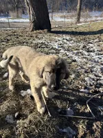 processed/68254d58-7137-468f-96b4-c388e433f2a3/listing/2629d857-1f0e-41c8-a18e-28e3cbd05024/bcb42401-fd18-401b-8c4a-6ca15ec10ebd