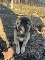 processed/68254d58-7137-468f-96b4-c388e433f2a3/listing/3edd899b-f8e4-47ff-b4e8-a44071cec246/02e401b8-3e04-4658-9584-4236e295779f