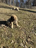 processed/68254d58-7137-468f-96b4-c388e433f2a3/listing/3edd899b-f8e4-47ff-b4e8-a44071cec246/3733bba8-f587-45b8-8087-e1493830bfc7