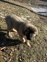 processed/68254d58-7137-468f-96b4-c388e433f2a3/listing/3edd899b-f8e4-47ff-b4e8-a44071cec246/689574f8-d344-4b14-9523-baaabae2967d