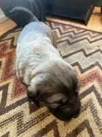 processed/68254d58-7137-468f-96b4-c388e433f2a3/listing/3edd899b-f8e4-47ff-b4e8-a44071cec246/937f7314-103d-4620-a327-4812bc45a491