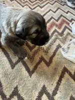 processed/68254d58-7137-468f-96b4-c388e433f2a3/listing/3edd899b-f8e4-47ff-b4e8-a44071cec246/e1ccbd26-be49-4e3d-af5d-3ab95f728b11