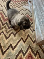 processed/68254d58-7137-468f-96b4-c388e433f2a3/listing/3edd899b-f8e4-47ff-b4e8-a44071cec246/e409f011-ba4f-4c86-a571-f3c26fe8a283