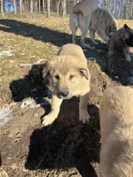 processed/68254d58-7137-468f-96b4-c388e433f2a3/listing/66f5f1e1-9988-4536-bf83-60f74a454c77/053a7fa8-b782-4d60-9d55-05080ee5ad53