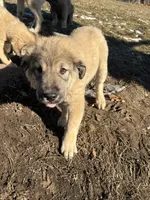 processed/68254d58-7137-468f-96b4-c388e433f2a3/listing/66f5f1e1-9988-4536-bf83-60f74a454c77/782576f2-9ad4-4c15-9d01-0356a99fa547