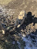 processed/68254d58-7137-468f-96b4-c388e433f2a3/listing/66f5f1e1-9988-4536-bf83-60f74a454c77/93c81e1f-a882-4580-8778-a8854ab3037c