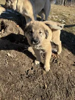 processed/68254d58-7137-468f-96b4-c388e433f2a3/listing/66f5f1e1-9988-4536-bf83-60f74a454c77/9cb388f5-55ca-4184-83ff-48601eb6d778