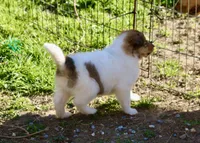 processed/682f19c8-f452-4985-a1e6-3aea4f3db395/facility/13e42e3f-7954-4553-82db-6a7a4fa20350