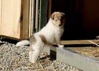 processed/682f19c8-f452-4985-a1e6-3aea4f3db395/facility/bee378e2-6549-457e-a1d4-999b973db93c