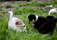 processed/682f19c8-f452-4985-a1e6-3aea4f3db395/facility/e494ee7b-d761-42f6-bc02-1964862d40ae